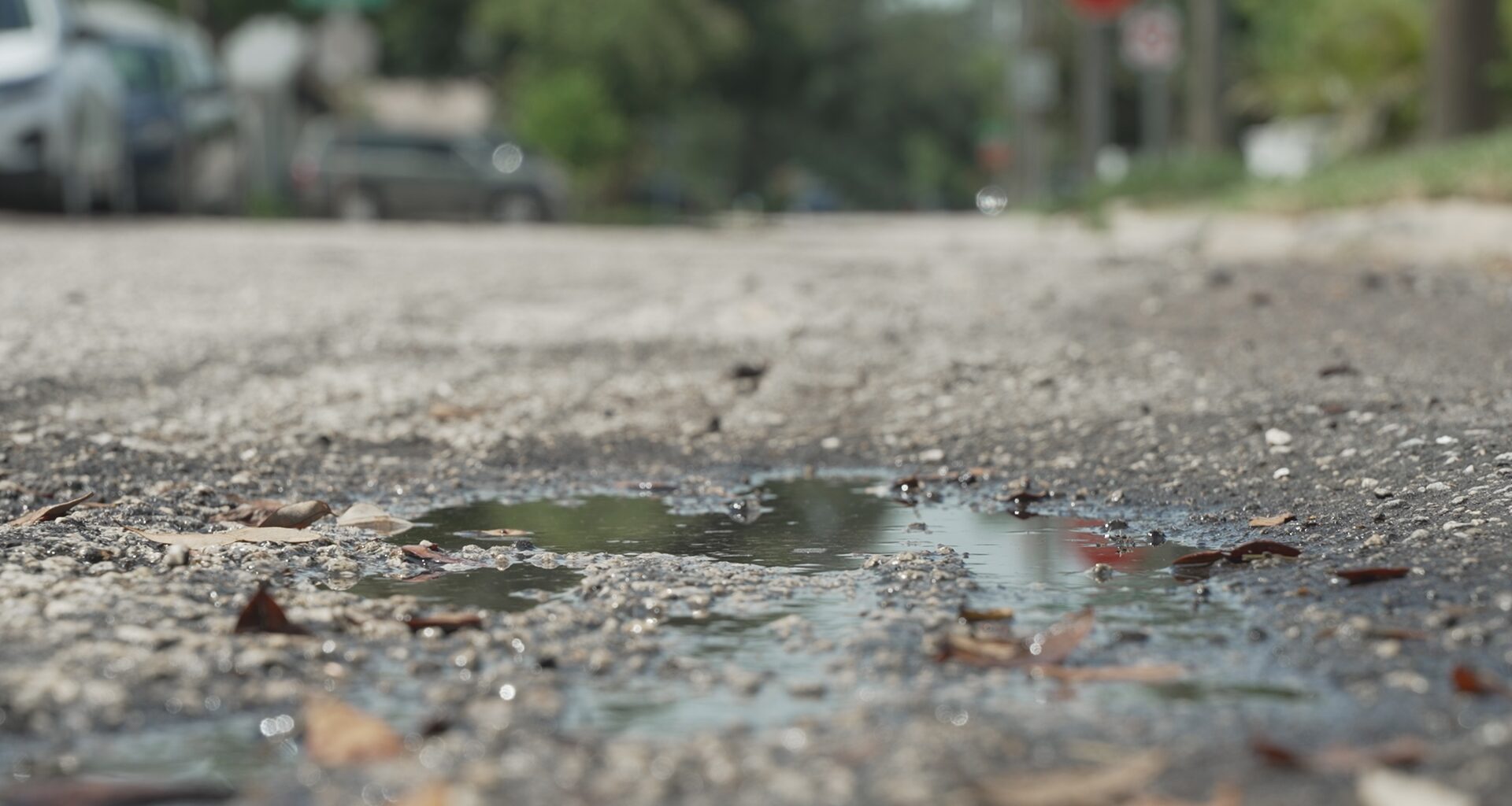 Tampa's million-dollar repaving project begins with New Tampa Boulevard
