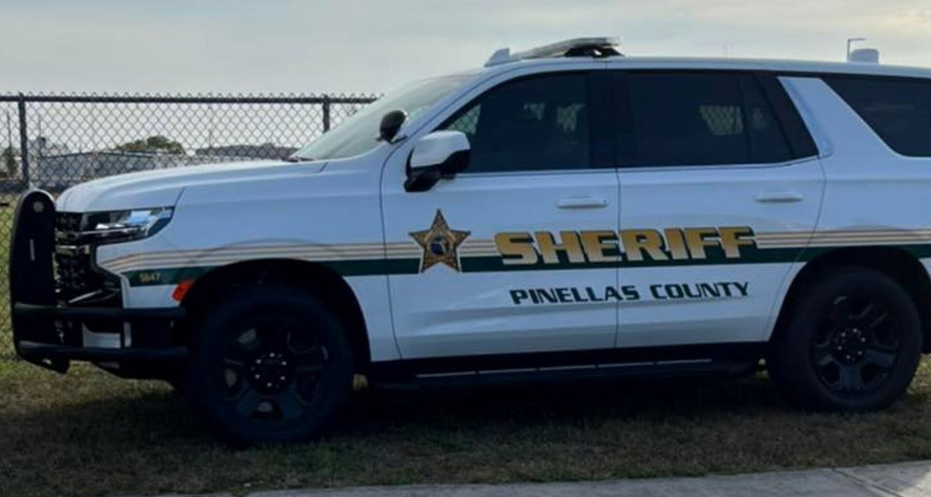 Sheriff's office investigating after suspect dies in St. Pete police custody