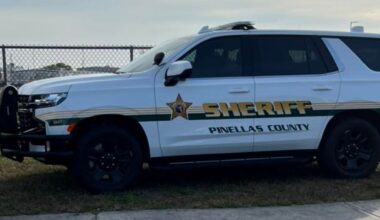 Sheriff's office investigating after suspect dies in St. Pete police custody