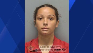 Cape Coral traffic stop takes wild turn after pickup truck crashes, K-9 tracks driver to backyard