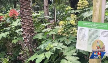 Orlando halts Leu Gardens expansion over Amendment 3 concerns