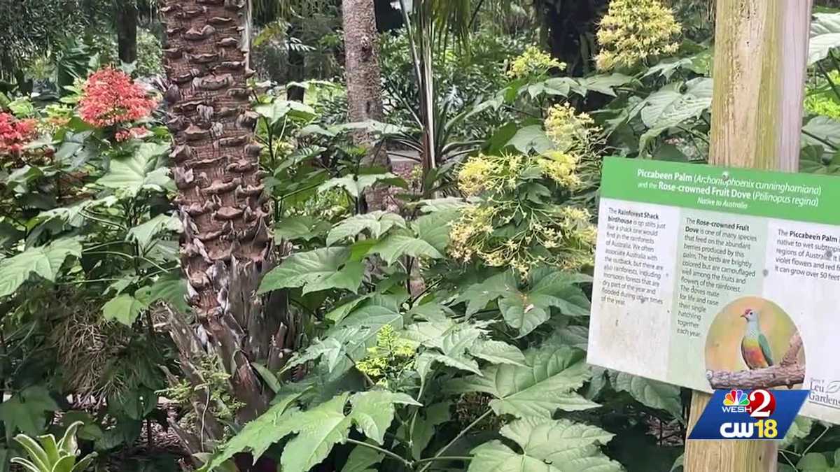Orlando halts Leu Gardens expansion over Amendment 3 concerns