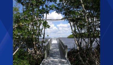 Parts of Cape Coral's Four Mile Cove Ecological Preserve to close on Monday