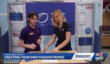 Trick your mind with optical illusions at The Orlando Science Center