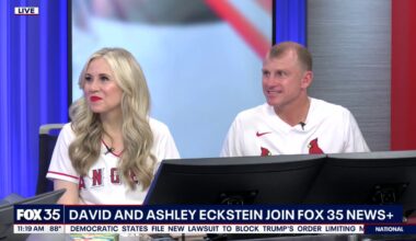 David and Ashley Eckstein release new books