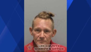 Man accused of abusing, killing multiple family-owned cats over 2-years in Pine Manor