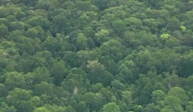 Wetlands to homes: Longwood residents raise concerns over potential development