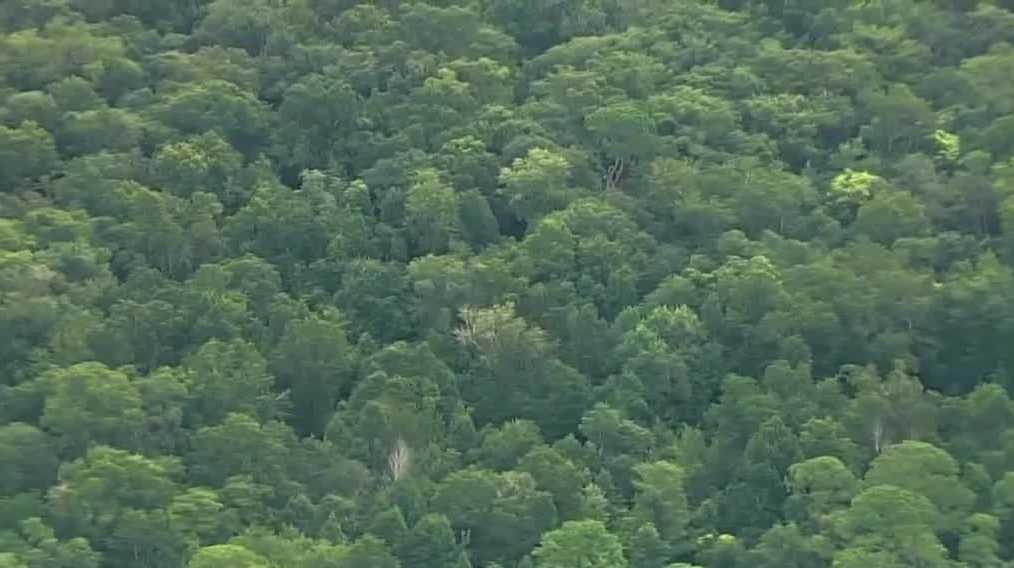 Wetlands to homes: Longwood residents raise concerns over potential development
