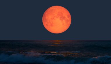 Where to see the August blood moon from the Tampa Bay area