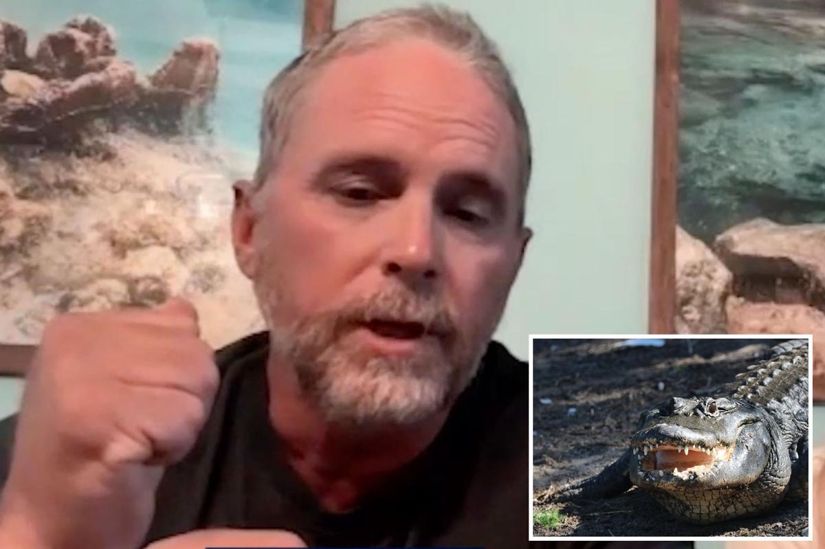 Alligator moved 'like a missile,' shredded Florida swimmer's arm, says brave paddleboarder who fought it off