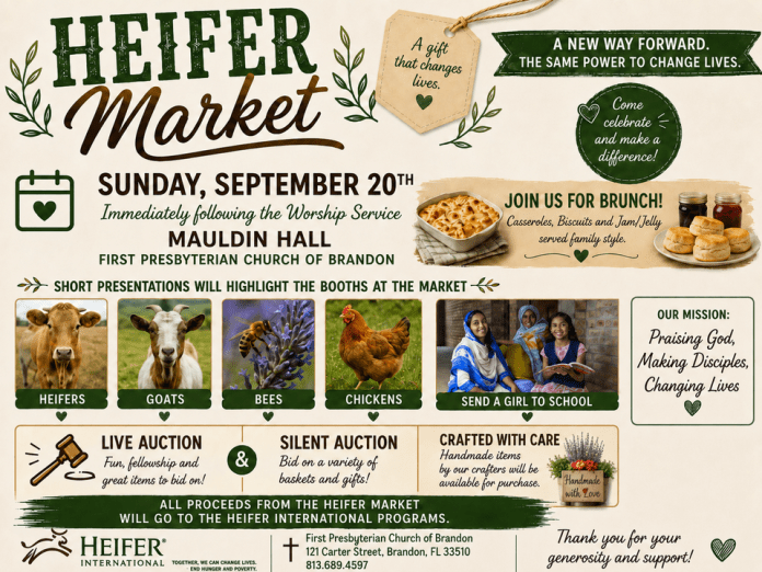heifer market