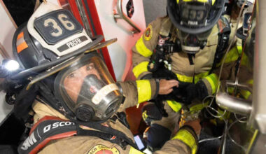 Firefighters Pulled a Soot-Covered Cat and a Hamster From a Florida House Fire