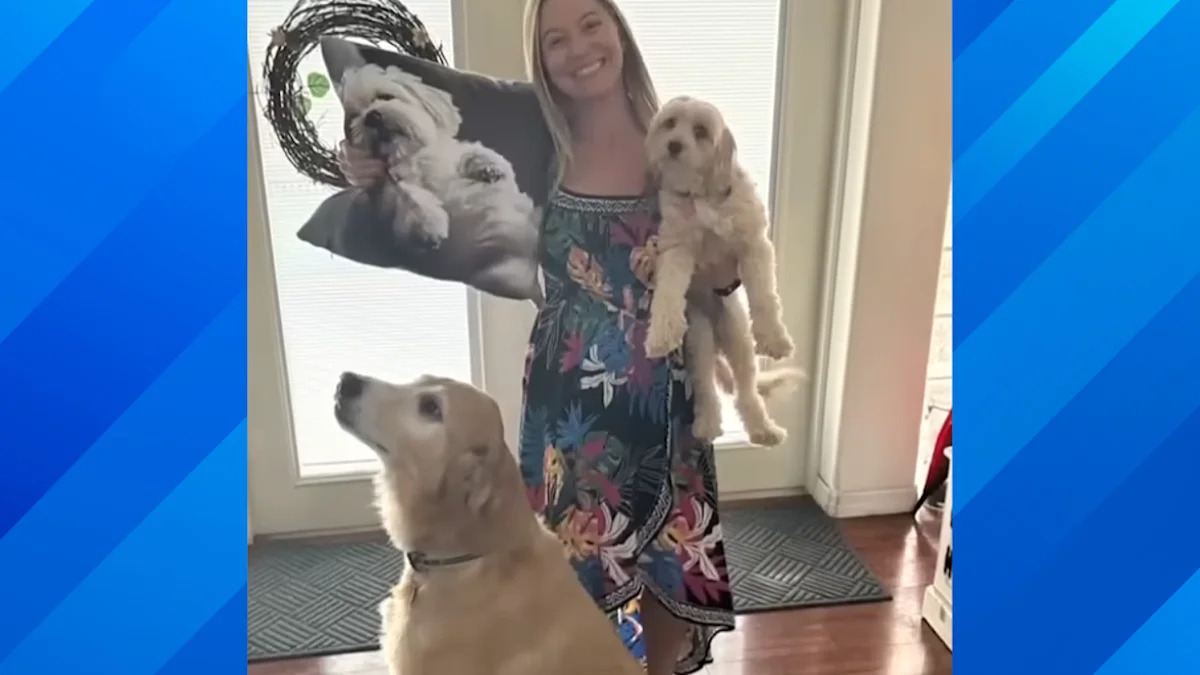 Florida Woman's Home Cameras Catch Rover Pet Sitter Allegedly Stealing and Mistreating Her Dogs