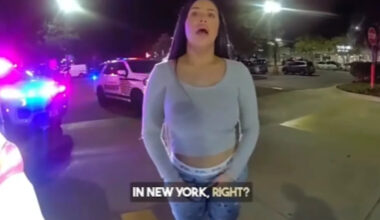 Florida Traffic Stop Over a Broken Tail Light Uncovers Woman's Fake IDs and Confusing Excuses