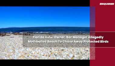 Florida Hotel Owner, Bar Manager Allegedly Mothballed Beach To Chase Away Protected Birds