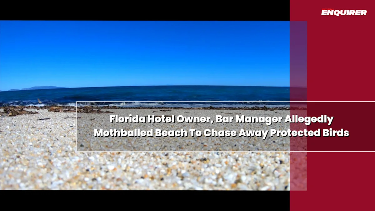 Florida Hotel Owner, Bar Manager Allegedly Mothballed Beach To Chase Away Protected Birds
