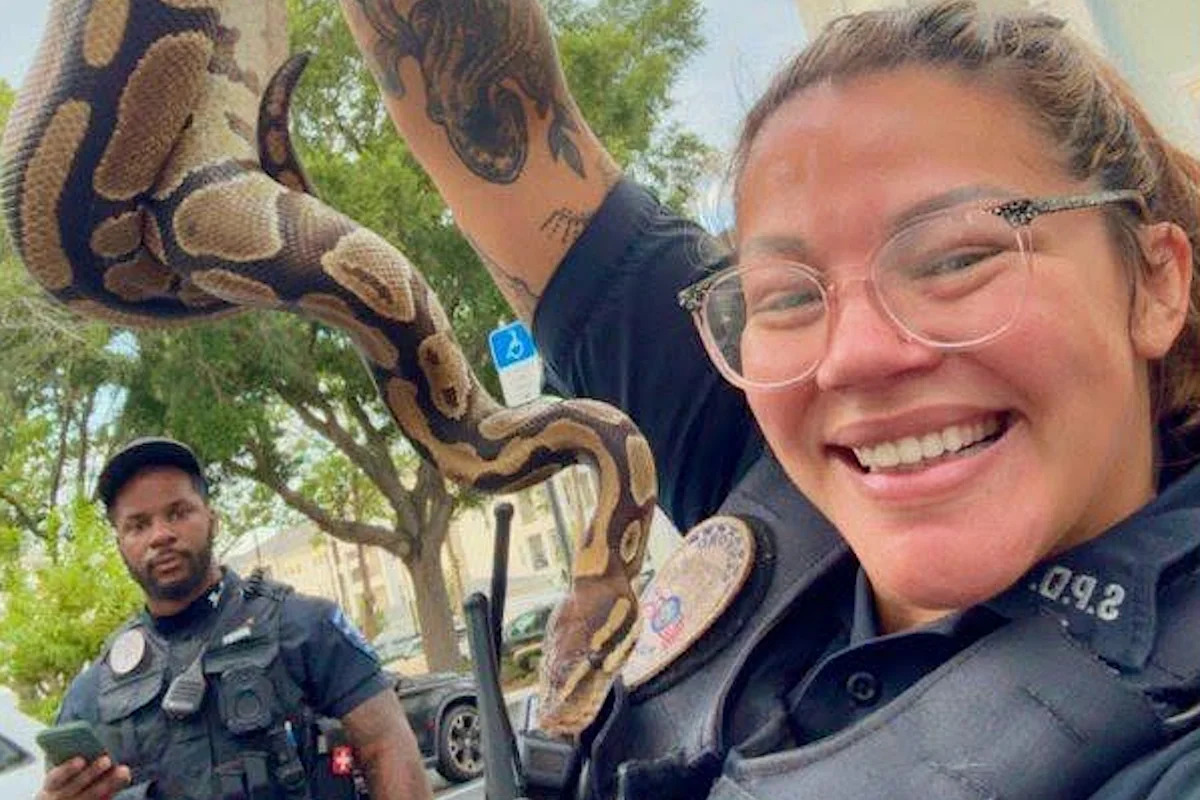 Florida officers answer 'unexpected bathroom guest' call before safely rescuing ball python