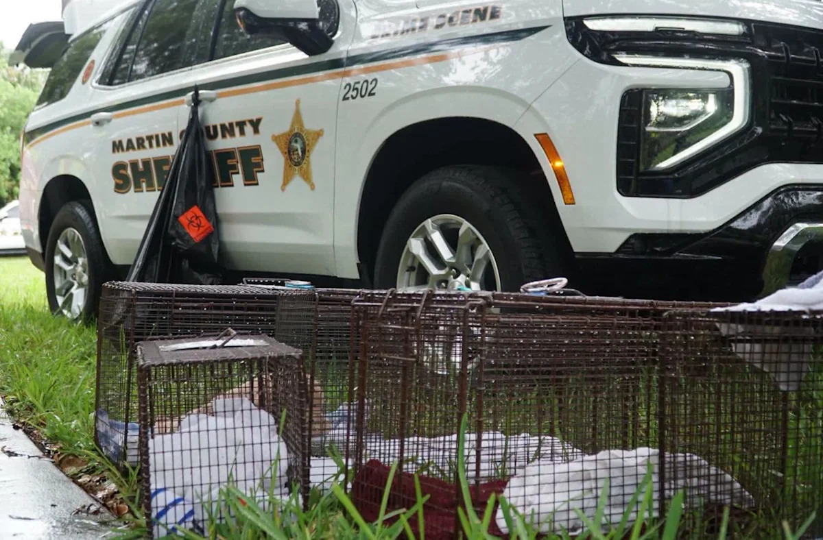 Florida hoarding case amounts to 108 rescued pets as more dogs and cats emerge every day