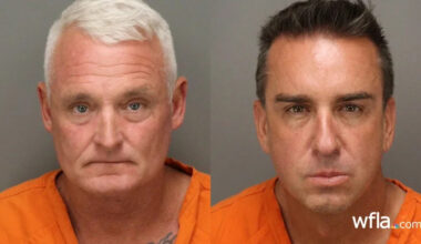 St. Pete hotel, bar owners arrested in mothball scheme to scare off nesting birds, FWC says