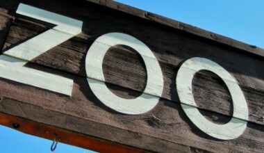 ZooTampa uses acupuncture to treat injured zoo animals