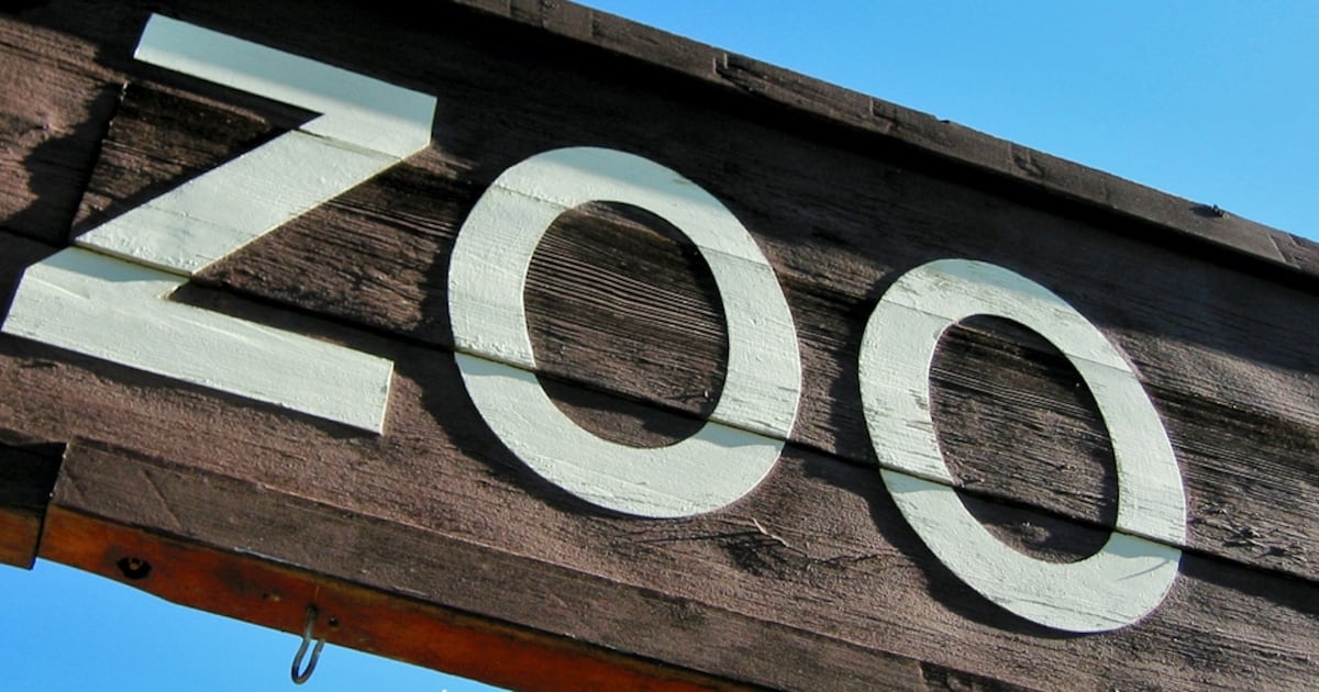 ZooTampa uses acupuncture to treat injured zoo animals