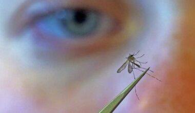 West Nile virus warning issued for Orange County, Florida