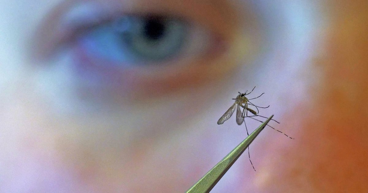 West Nile virus warning issued for Orange County, Florida