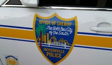 Driver kills woman in Lackawanna hit-and-run, police seek help