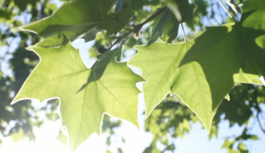 The next heat wave is coming to the Miami Valley – WHIO TV 7 and WHIO Radio