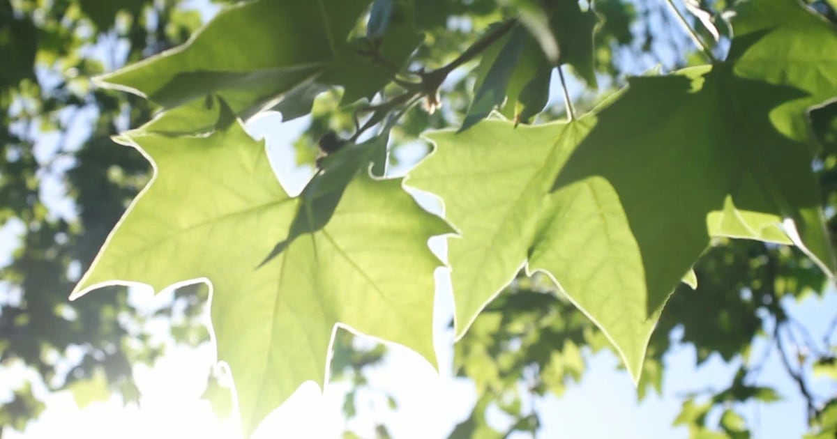 The next heat wave is coming to the Miami Valley – WHIO TV 7 and WHIO Radio