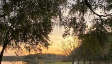 Ocoee residents invited to shape park and trail future