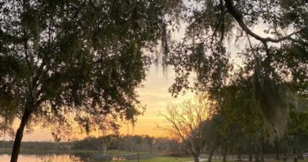 Ocoee residents invited to shape park and trail future