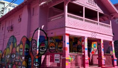 #PaintItPink artists meeting Thursday in St. Petersburg