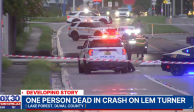 Pedestrian killed by truck flying off I-95 bridge