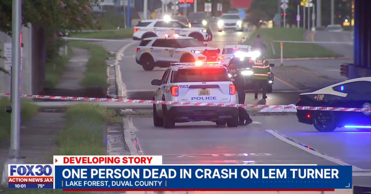 Pedestrian killed by truck flying off I-95 bridge