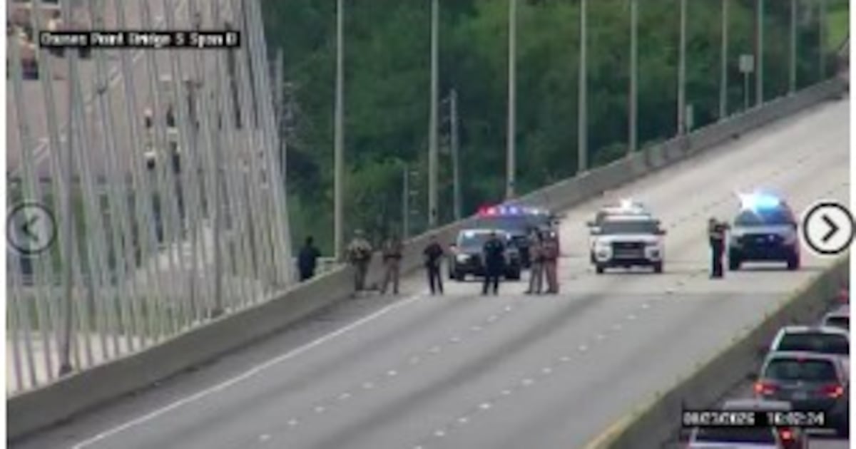 Police rescue man from atop Dame Point Bridge on Saturday
