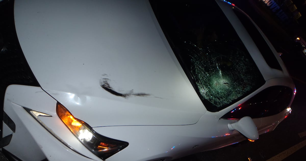 Tampa woman dies after U.S. 41 collision