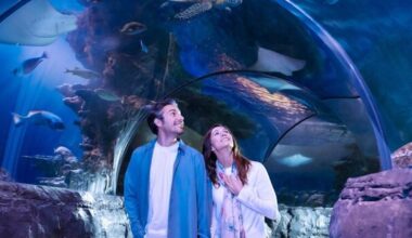 Fins & Flights: Adults-only event coming to SEA LIFE Orlando