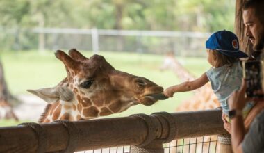 Celebrate 904 Day at Jacksonville Zoo and Botanical Gardens – 104.5 WOKV