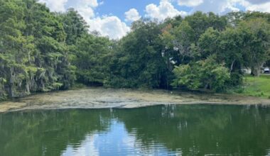 Blue-green algae warning issued for Lake Formosa
