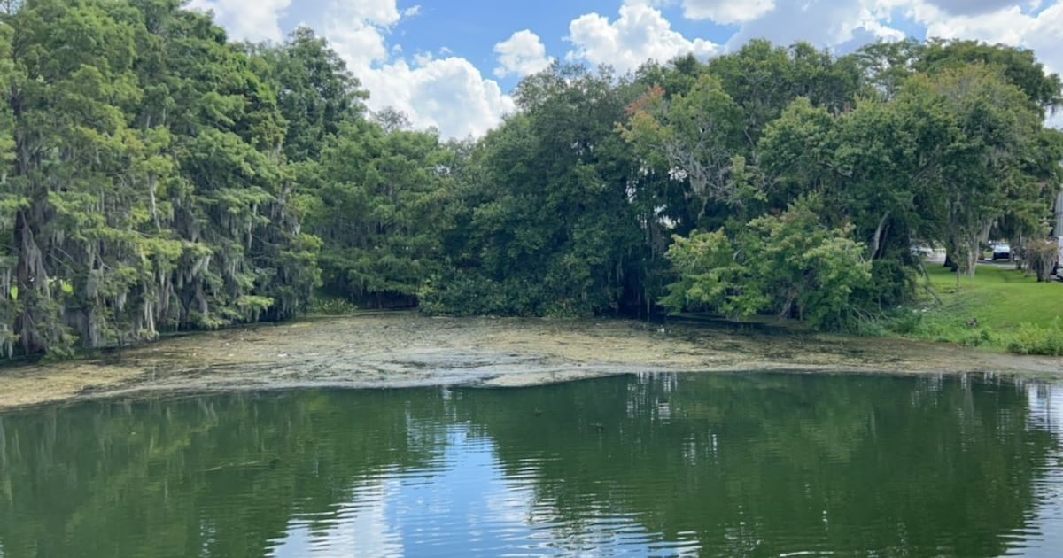 Blue-green algae warning issued for Lake Formosa