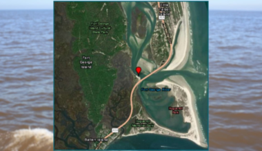 Red tide alert issued for Ft. George Inlet area