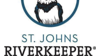 Riverkeeper, conservation trust sue Keystone Terminal in Jacksonville over ash in St. Johns River