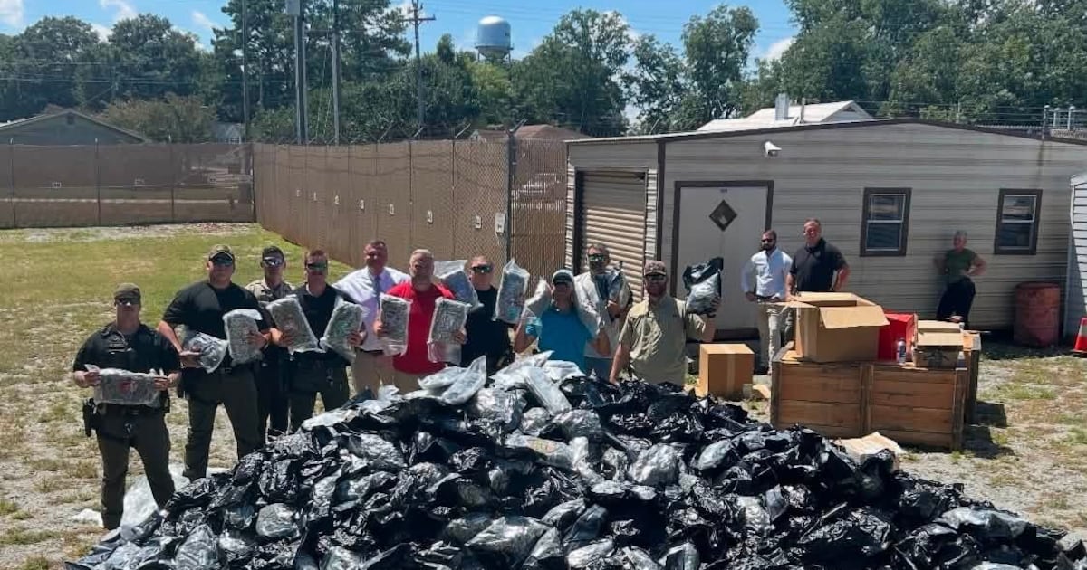 Marijuana seizure: 1,800 pounds intercepted by Butts County sheriff