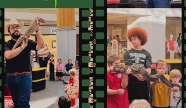 Get hands-on with reptiles at Orange Park Mall’s free Friday Night Safari – Action News Jax