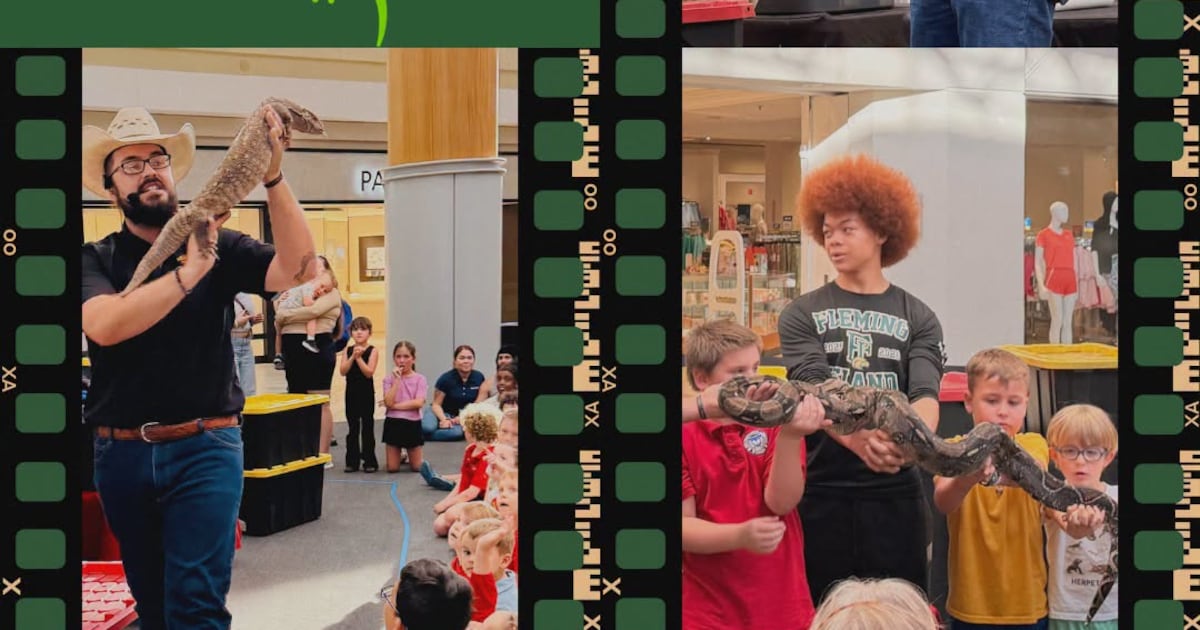 Get hands-on with reptiles at Orange Park Mall’s free Friday Night Safari – Action News Jax