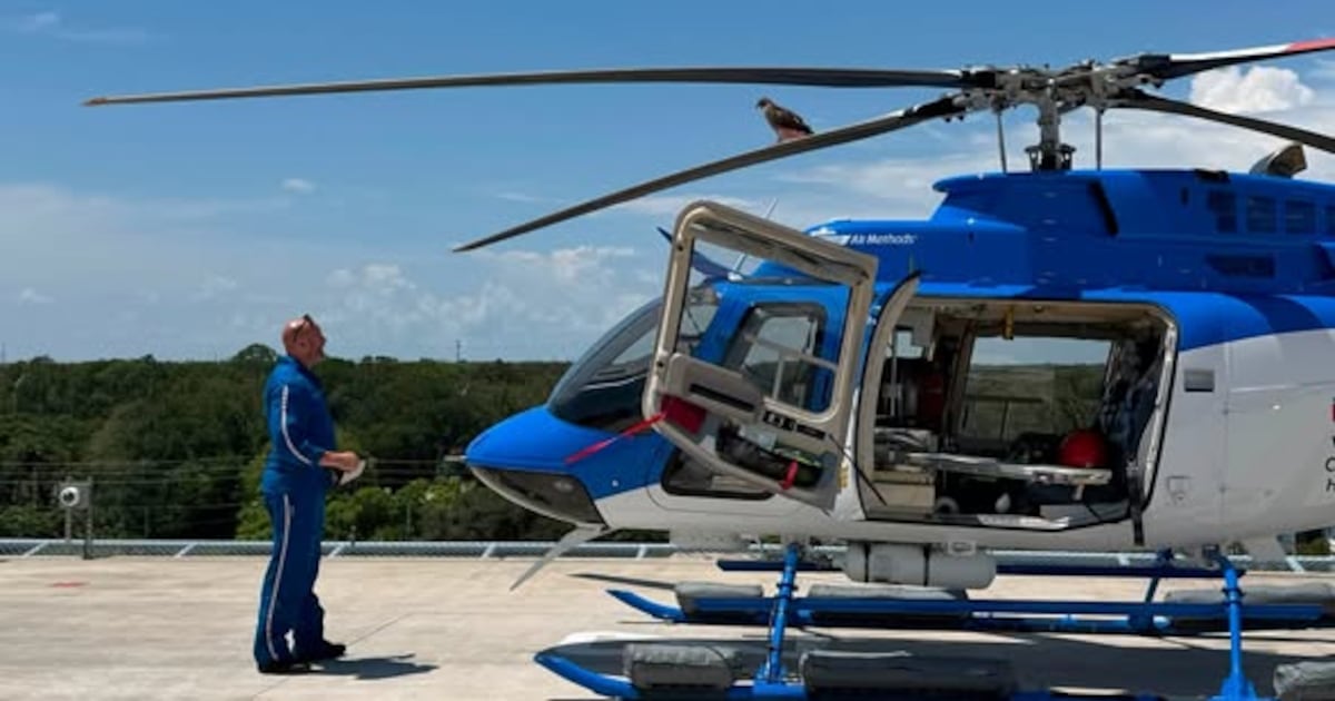 Day after Dolly dies, Life Flight Jacksonville gets special winged visit to copter it named “Dolly”