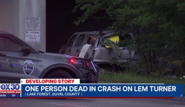 Witnesses in shock after vehicle flew off of I-95 overpass, one dead