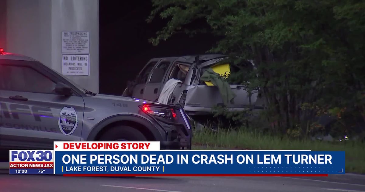 Witnesses in shock after vehicle flew off of I-95 overpass, one dead