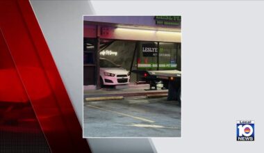 Driver crashes through front of Doral pet grooming business